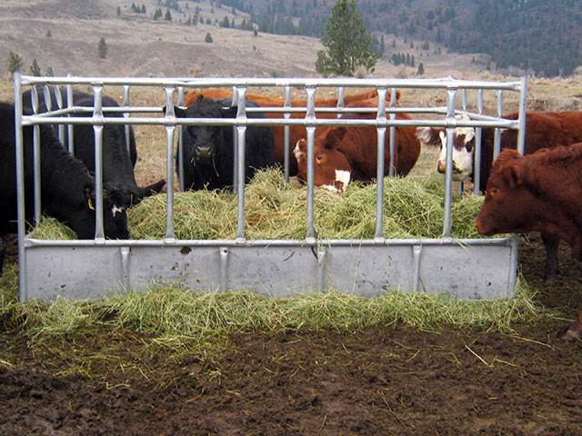 Big Bale Feeders for Feeding Cattle