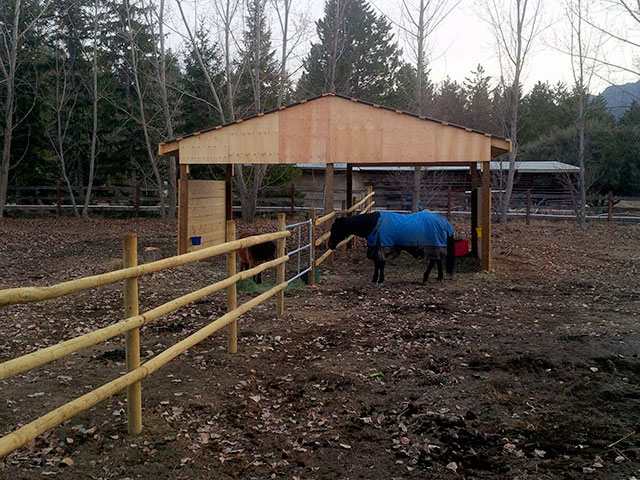 Custom Built Horse Shelter